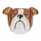 Quail Ceramics English Bulldog Face Egg Cup