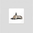 Charlotte Nicolin Glasunderlägg Felix