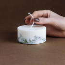 The Munio Soy Wax Mini Candle Moss 220ml