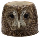 Quail Ceramics Tawny Owl Face Egg Cup