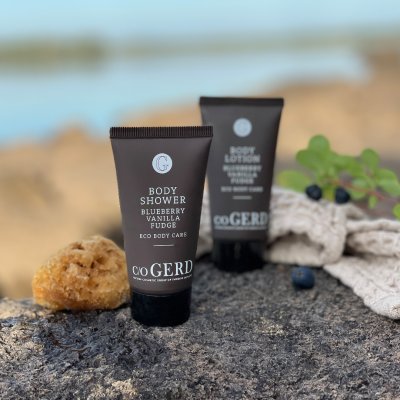 c/o GERD Body Shower Blueberry Vanilla Fudge 200ml