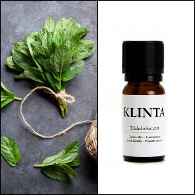 KLINTA DOFTOLJA TRäDGåRDSMYNTA